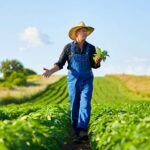 Comment Récupérer un Terrain Agricole Loué ?